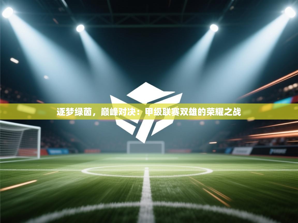 逐梦绿茵，巅峰对决：甲级联赛双雄的荣耀之战  第2张