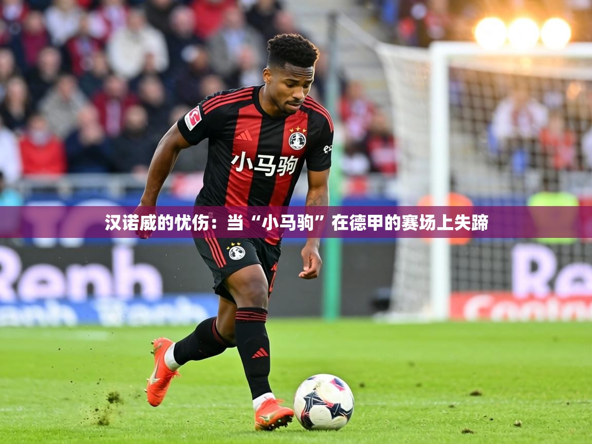 汉诺威的忧伤:当“小马驹”在德甲的赛场上失蹄 第2张